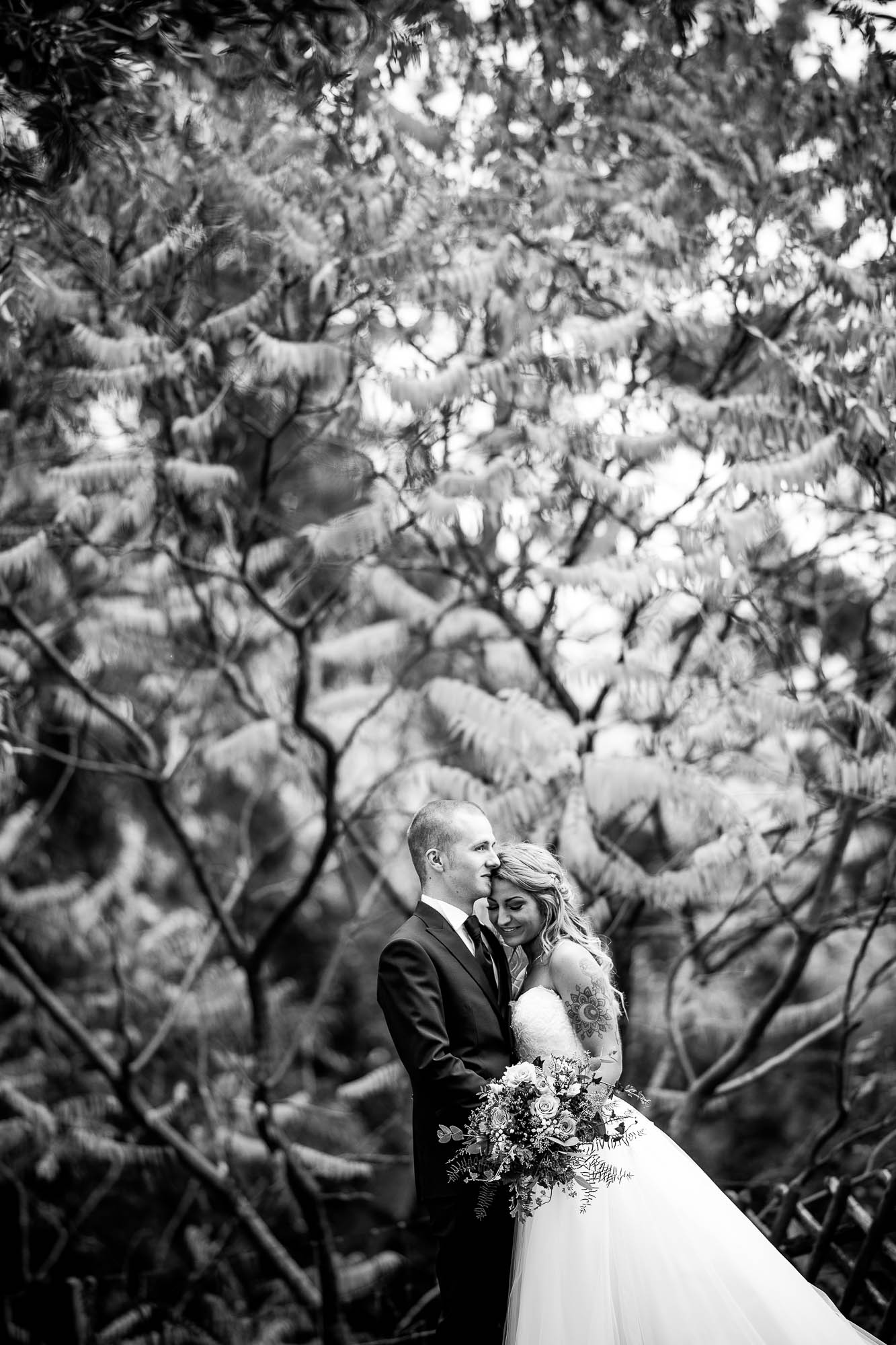 Export x3 1DX25976 Hochzeit 2019 Tatjana und Hermann 2